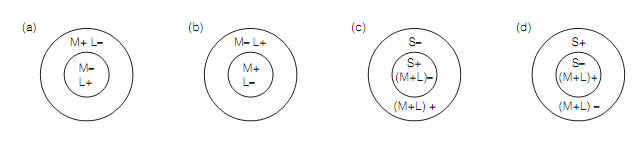 254_Parallel processing in v1.png